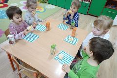 IMG_20240209_092645