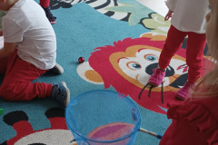 IMG_20231109_101955399