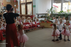 IMG_20231110_094058315