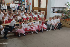 IMG_20231110_094354052