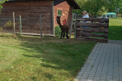 IMG_20250514_095632137