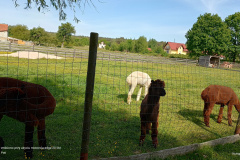 IMG_20250514_095753928_HDR