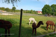 IMG_20250514_095754988_HDR