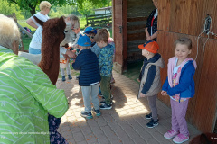 IMG_20250514_101041890_HDR