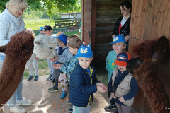 IMG_20250514_101048682