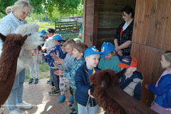 IMG_20250514_101049917