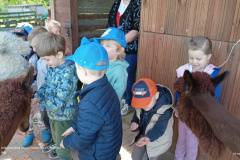 IMG_20250514_101054331