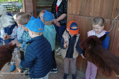 IMG_20250514_101055465