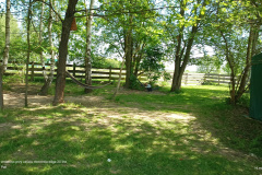 IMG_20250514_101910125