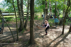 IMG_20250514_101942336