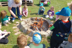 IMG_20250514_103507241