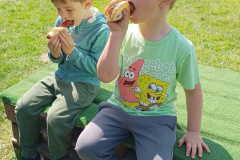 IMG_20250514_103847699