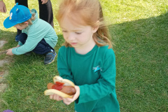 IMG_20250514_103851367