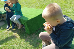 IMG_20250514_103933271