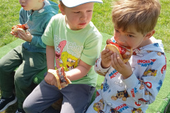 IMG_20250514_103949145