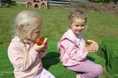 IMG_20250514_104011435