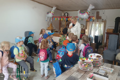 IMG_20250514_112208662