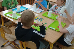 IMG_20250609_091016253