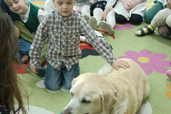 IMG_20250411_094707