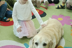 IMG_20250411_094724