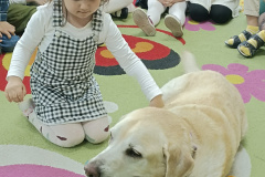 IMG_20250411_094737
