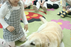 IMG_20250411_094738