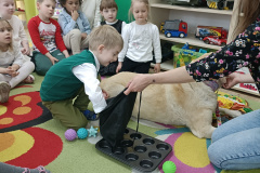 IMG_20250411_095112