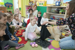 IMG_20250411_095209