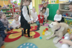 IMG_20250411_095655