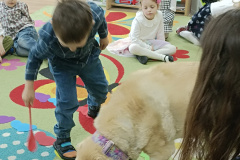IMG_20250411_100632