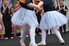 DSC_0551