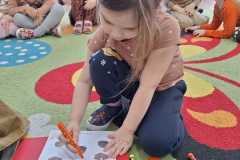 IMG-20250223-WA0015