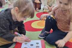 IMG-20250223-WA0017