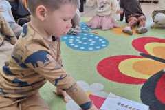 IMG-20250223-WA0022