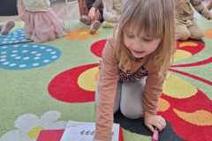 IMG-20250223-WA0024