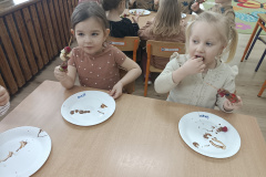 IMG_20250214_104059