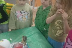 IMG_20250226_091643618