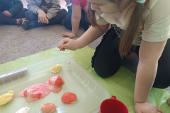 IMG_20260226_102009