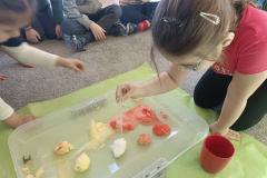 IMG_20260226_102510