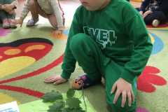 IMG-20241117-WA0208