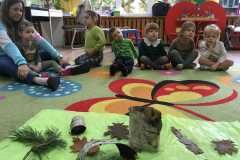 IMG-20241117-WA0211