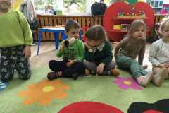 IMG-20241117-WA0214