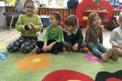 IMG-20241117-WA0215