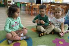 IMG-20241117-WA0217