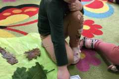 IMG-20241117-WA0218