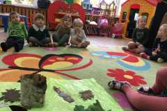 IMG-20241117-WA0219