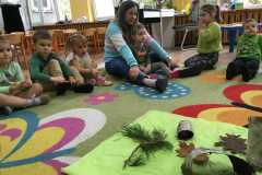 IMG-20241117-WA0220