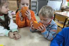 d8f7dff3-cdb2-4713-a9c9-493240aebe52