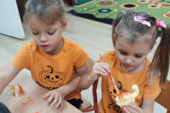 IMG_20231031_083228031_BURST000_COVER