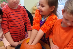 IMG_20231031_094310215_BURST000_COVER